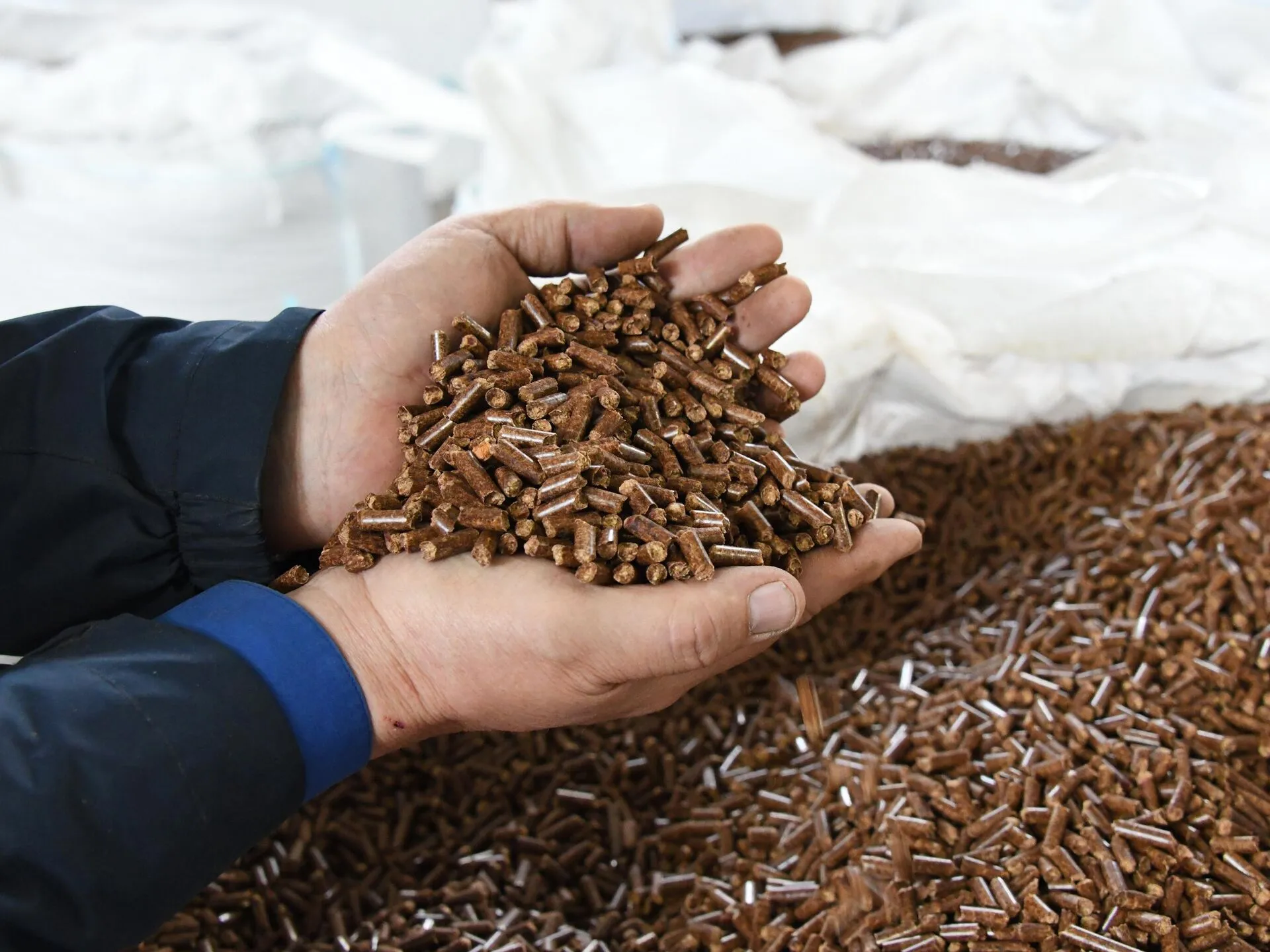 Влияние санкций