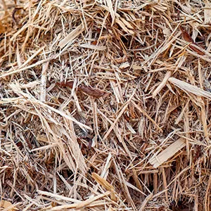 Щепа для арболита оптом в Владикавказе и других различных марок заказать от 16 тонн